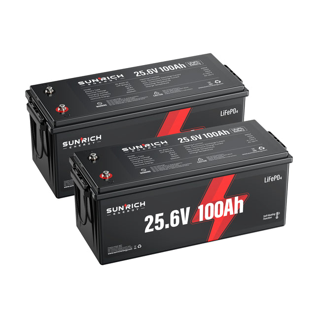 25.6V 100Ah Group 4D Lithium Iron Phosphate Battery | Best 2560Wh Heated LiFePO4 Battery for Cold Weather