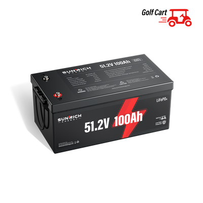 48(51.2)V 100Ah Golf Cart LiFePO4 Battery (Bluetooth Function)