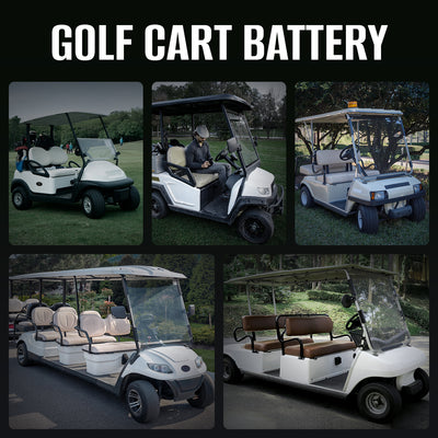 48(51.2)V 100Ah Golf Cart LiFePO4 Battery (Bluetooth Function)