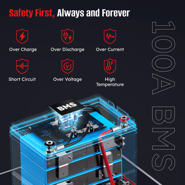 Sunrich Energy LiFePO4 Battery built-in BMS protection