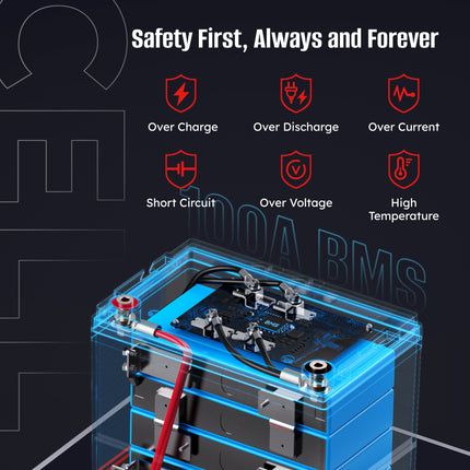 Sunrich Energy LiFePO4 Battery built-in BMS protection